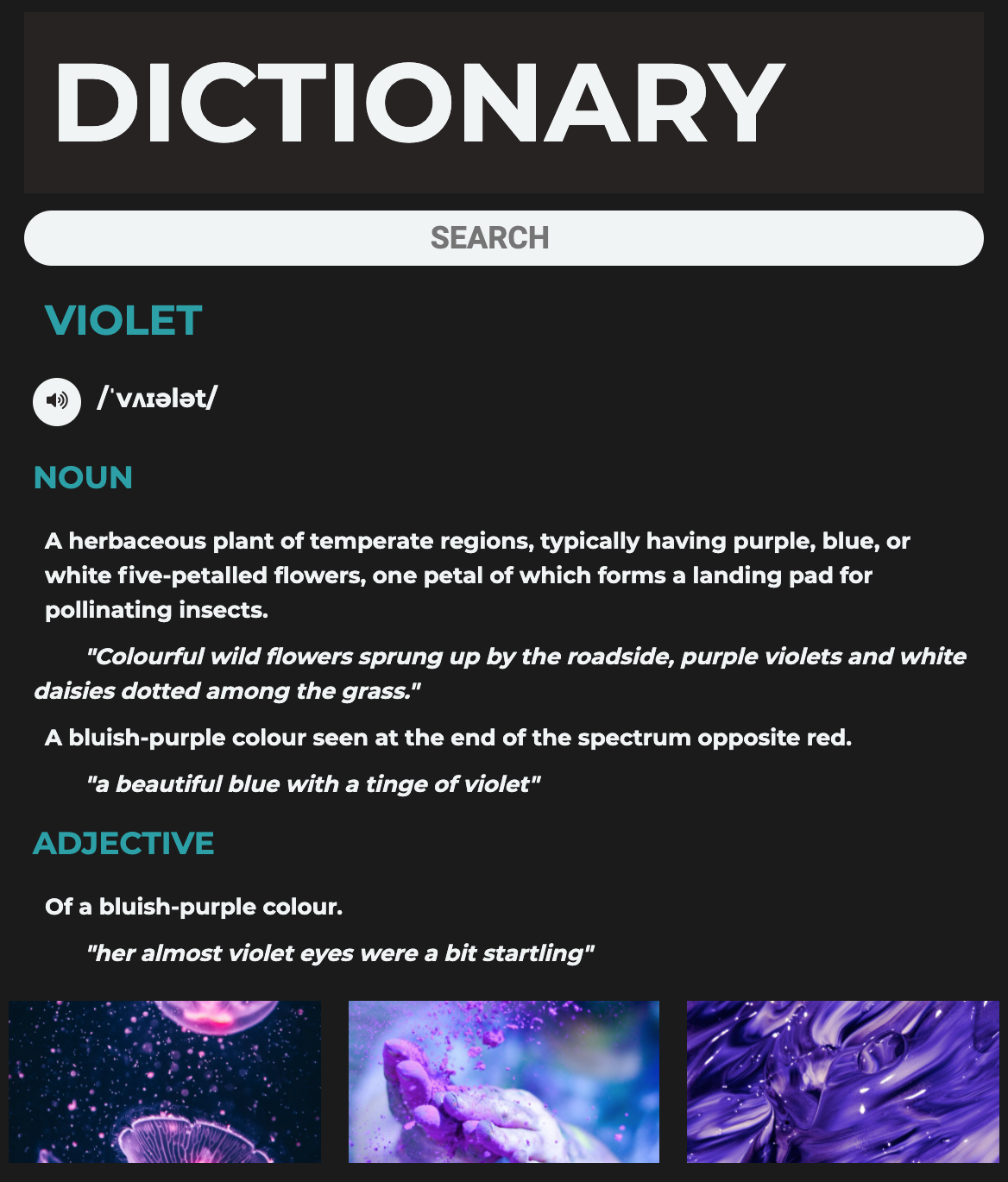 Dictionary Project Image